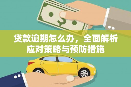 留坝贷款逾期怎么办，全面解析应对策略与预防措施