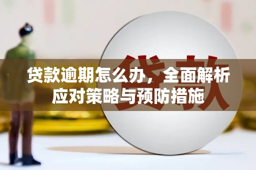高树贷款逾期怎么办，全面解析应对策略与预防措施