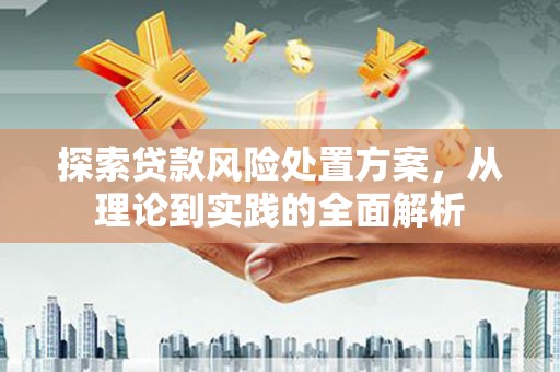 新社探索贷款风险处置方案，从理论到实践的全面解析