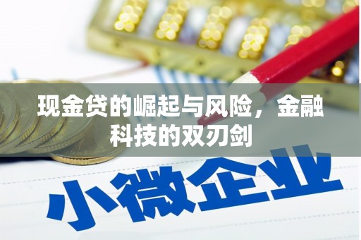 中原现金贷的崛起与风险，金融科技的双刃剑