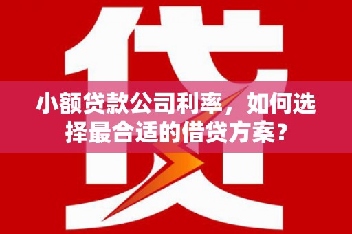 如皋小额贷款公司利率，如何选择最合适的借贷方案？