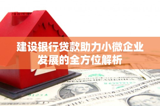 伊川建设银行贷款助力小微企业发展的全方位解析
