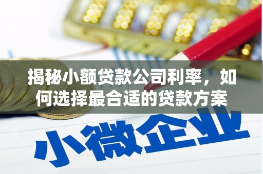 宁波揭秘小额贷款公司利率，如何选择最合适的贷款方案