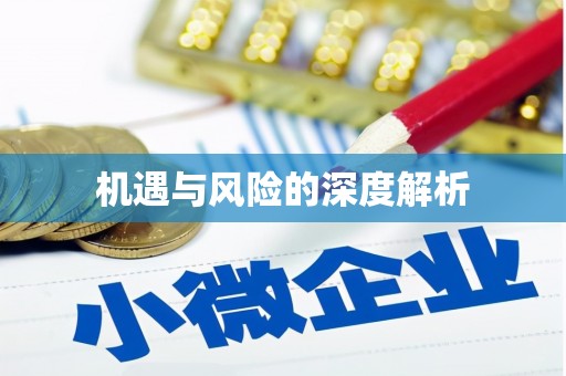 宏伟机遇与风险的深度解析