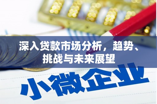 民丰深入贷款市场分析，趋势、挑战与未来展望