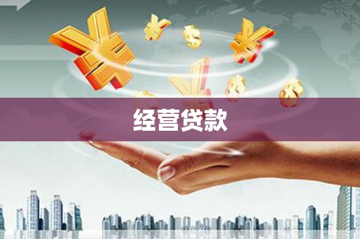 正宁经营贷款