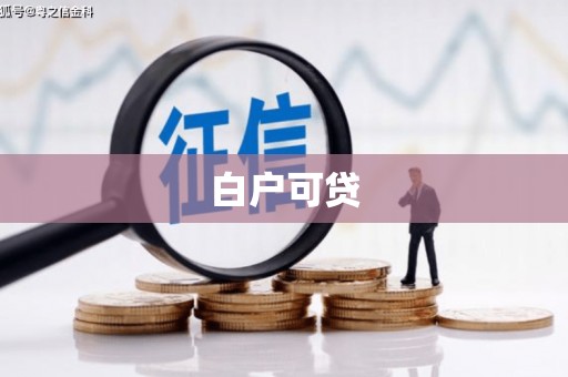 卢龙白户可贷