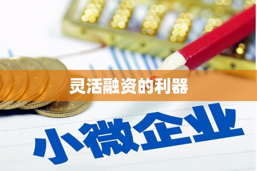 新县灵活融资的利器