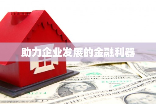 美浓助力企业发展的金融利器