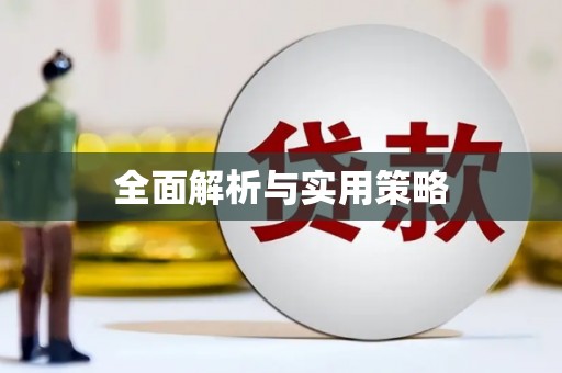 公安全面解析与实用策略