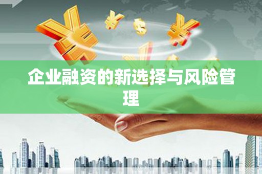 安岳企业融资的新选择与风险管理