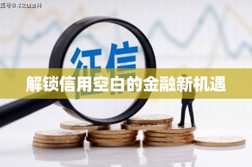 沙洋解锁信用空白的金融新机遇