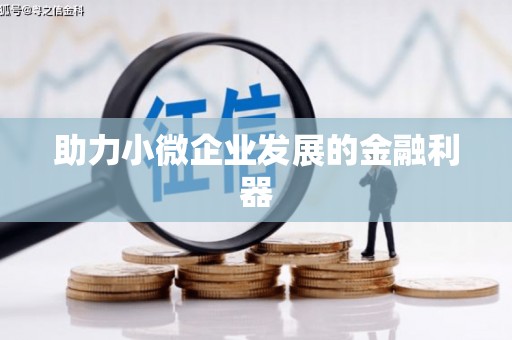 海北助力小微企业发展的金融利器