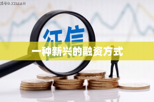 颍上一种新兴的融资方式